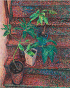 �Õ��i�K�i�A�A���Ȃǁj�^Still life (stairs, plants, etc.)