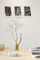 �u���]���h���b�v�v �^'Rotate two and a half times and drop'